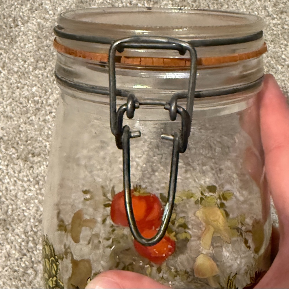 Vintage Glass Canister Storage Jar Made in FRANCE MUSHROOM Spice Of Life 1.5L - Picture 8 of 10